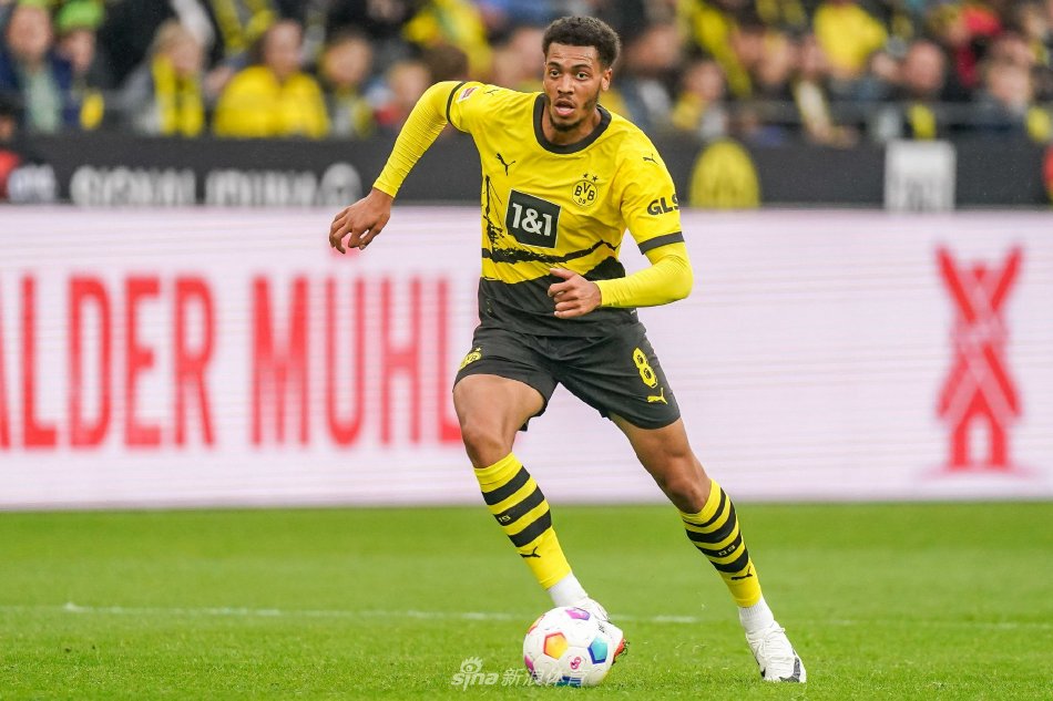 在国际赛场 在国际赛场